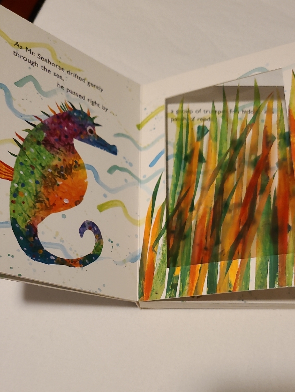 Eric Carle Caterpillar Seahorse Kangaroo Board Books, Jamberry, Lot of 4 - Picture 4 of 13